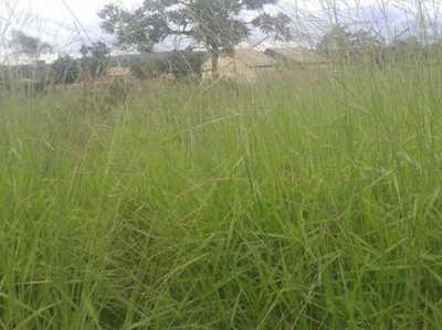 Residential Land For Sale in Goias, Brazil