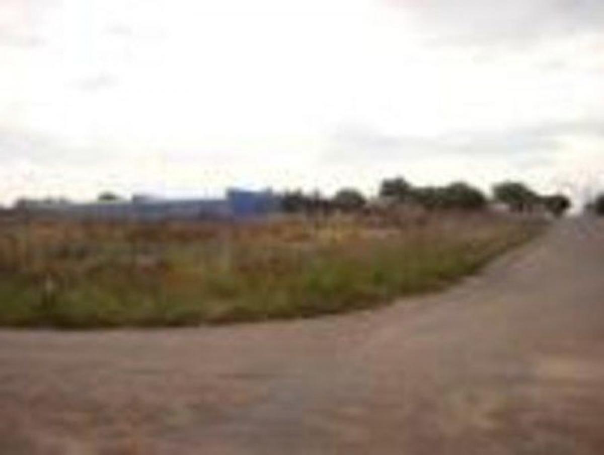 Picture of Residential Land For Sale in Roraima, Roraima, Brazil