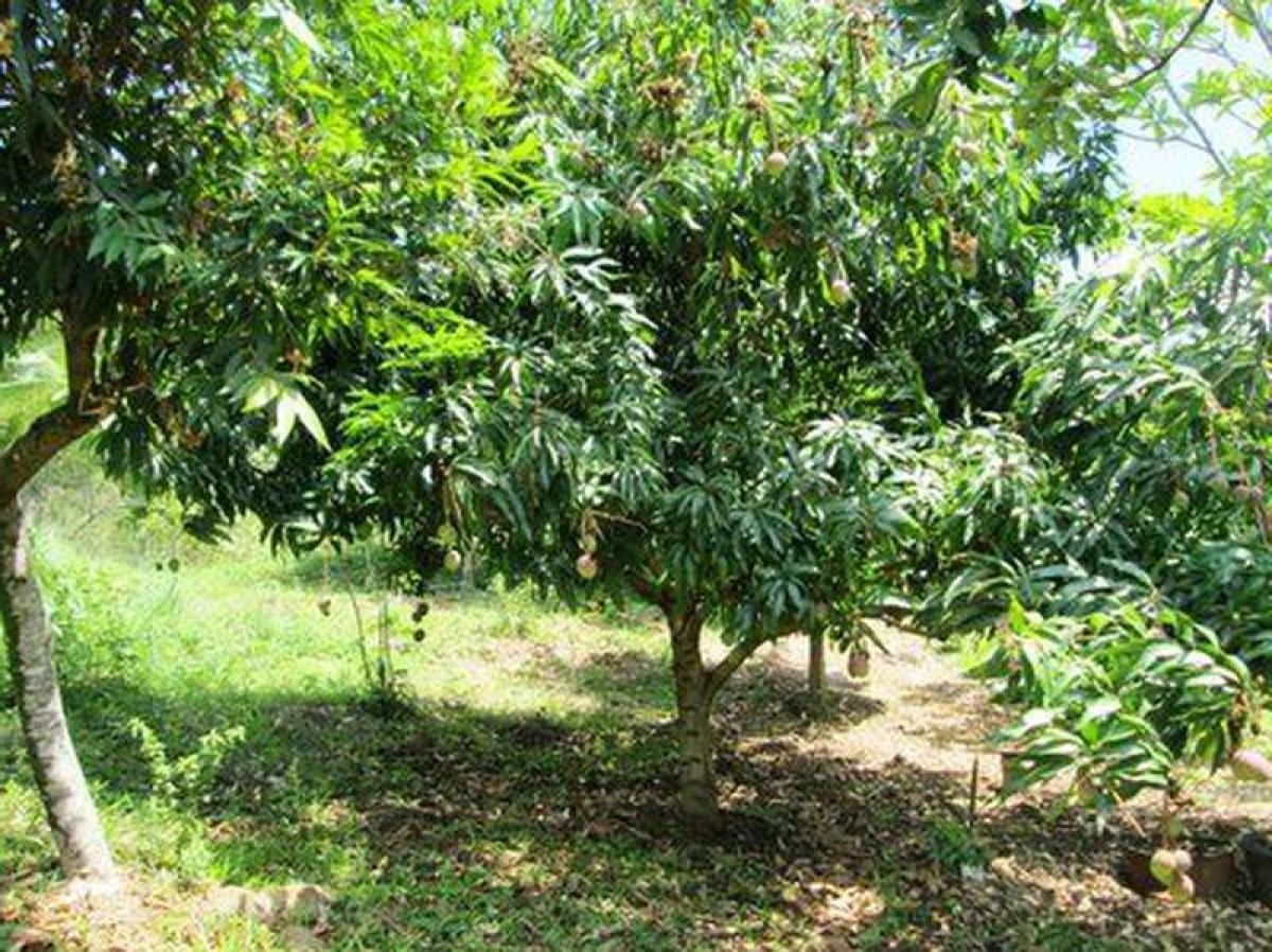 Picture of Residential Land For Sale in Três Marias, Minas Gerais, Brazil