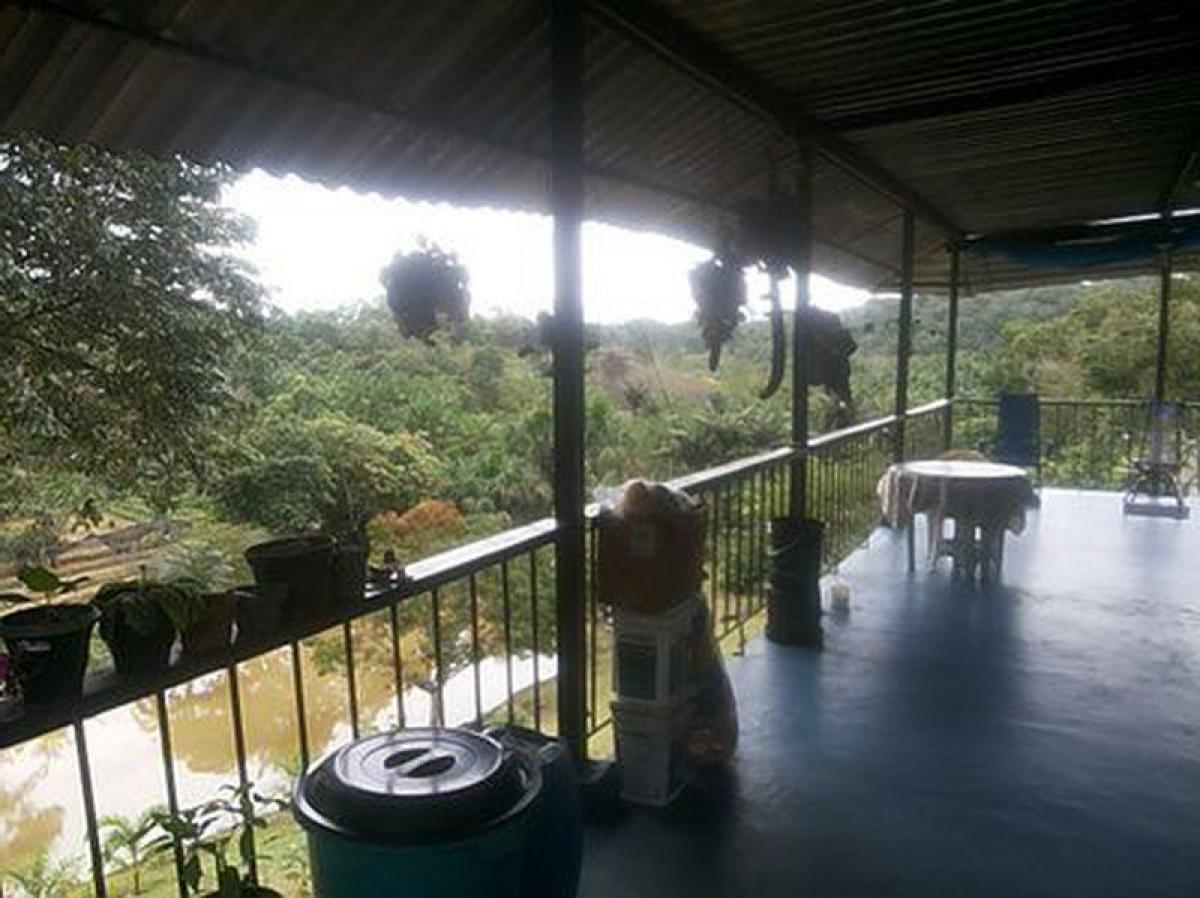 Picture of Residential Land For Sale in Amazonas, Amazonas, Brazil