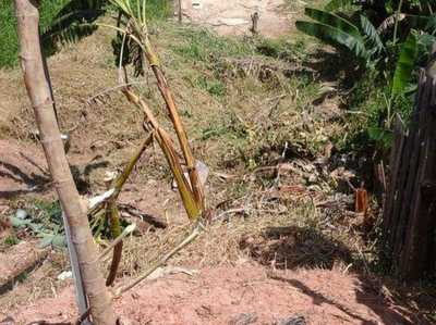 Residential Land For Sale in 