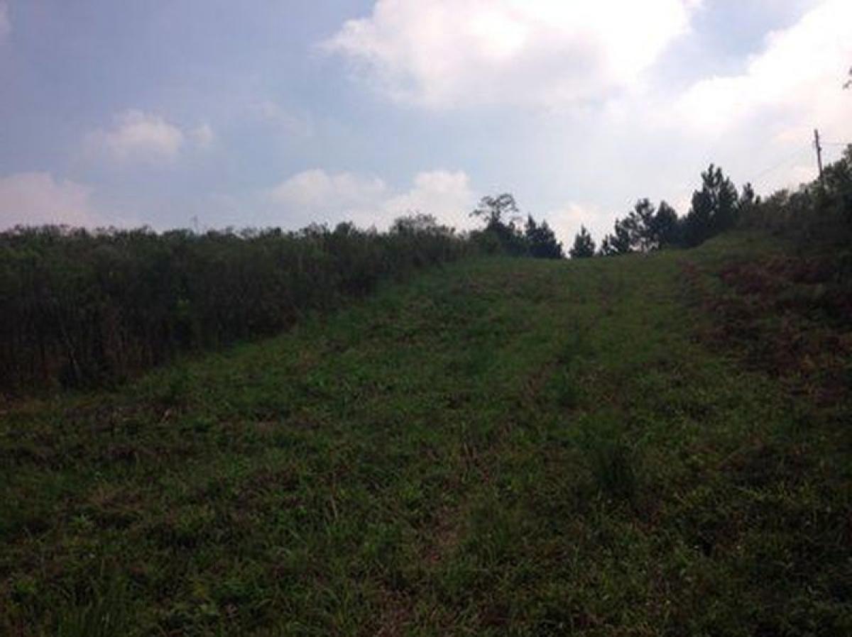 Picture of Residential Land For Sale in Sao Jose Dos Pinhais, Parana, Brazil