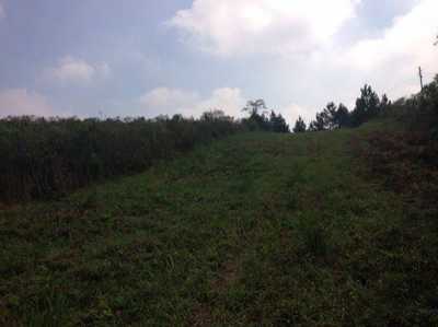 Residential Land For Sale in Sao Jose Dos Pinhais, Brazil