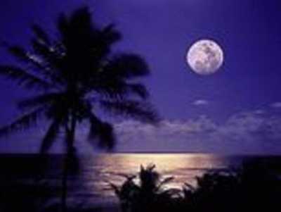 Residential Land For Sale in Mata De Sao Joao, Brazil