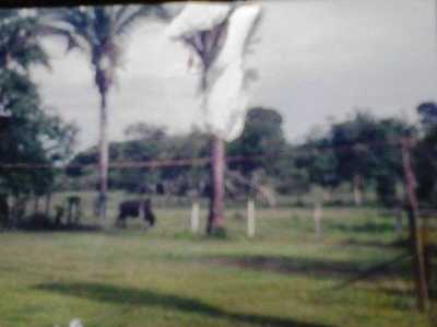 Residential Land For Sale in Rondonopolis, Brazil