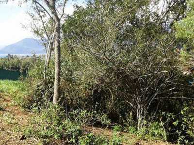 Residential Land For Sale in Ilhabela, Brazil