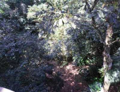 Studio For Sale in Sao Sebastiao, Brazil