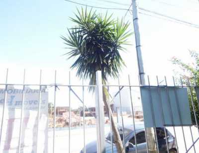 Home For Sale in Tapes, Brazil