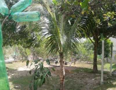 Residential Land For Sale in