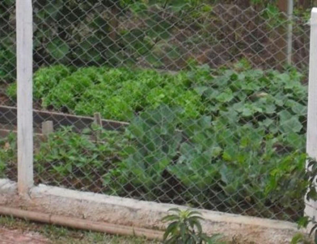 Picture of Apartment For Sale in Mairipora, Sao Paulo, Brazil