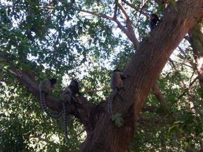 Residential Land For Sale in