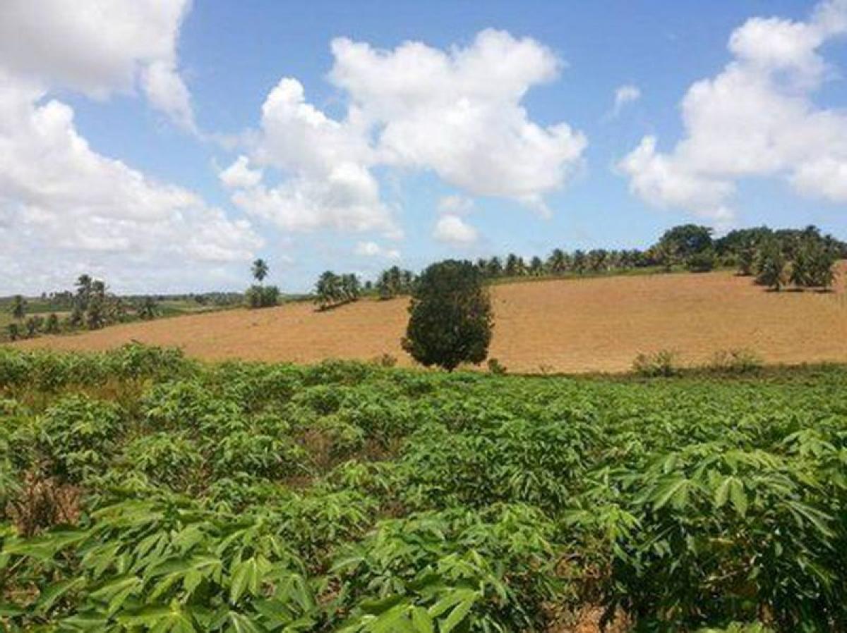 Picture of Apartment For Sale in Conde, Paraiba, Brazil