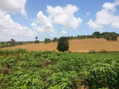 Apartment For Sale in Conde, Brazil