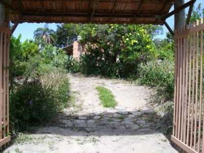 Farm For Sale in Minas Gerais, Brazil