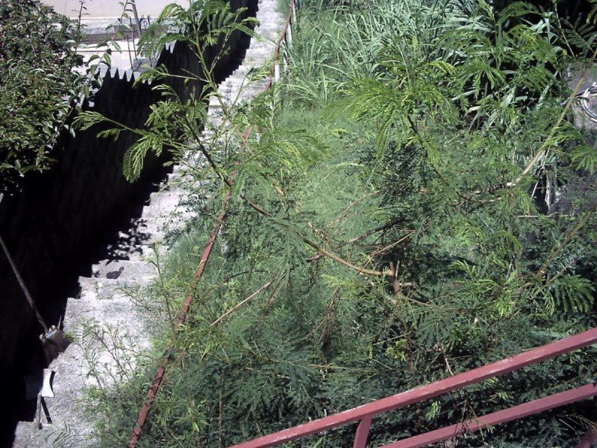Picture of Farm For Sale in Três Marias, Minas Gerais, Brazil
