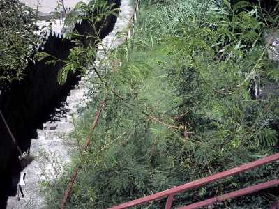 Farm For Sale in Três Marias, Brazil