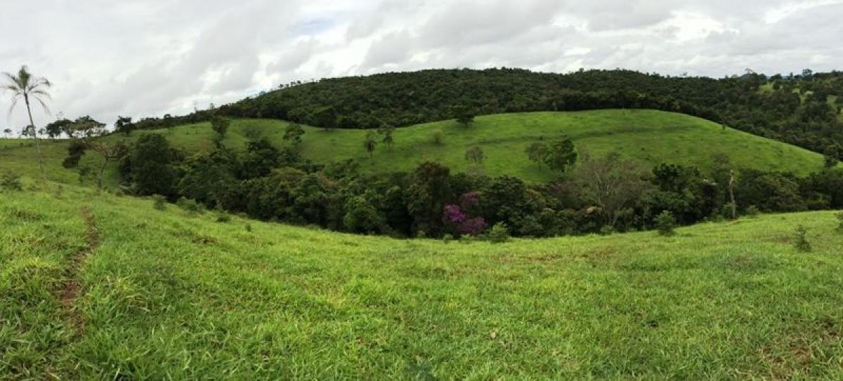 Picture of Farm For Sale in Para De Minas, Minas Gerais, Brazil