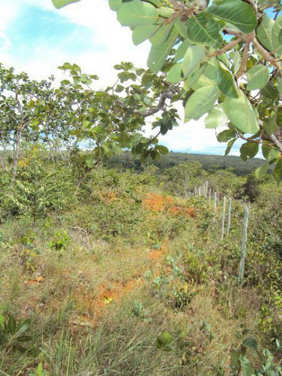 Picture of Home For Sale in Jaboticatubas, Minas Gerais, Brazil