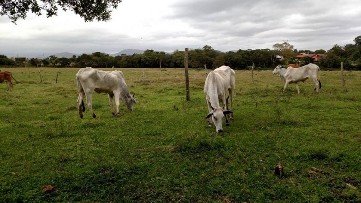 Picture of Residential Land For Sale in Imbituba, Santa Catarina, Brazil