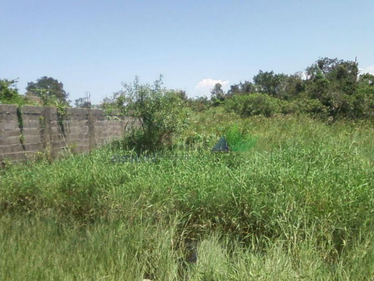 Picture of Residential Land For Sale in Peruibe, Sao Paulo, Brazil