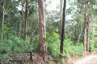 Farm For Sale in Itapecerica Da Serra, Brazil