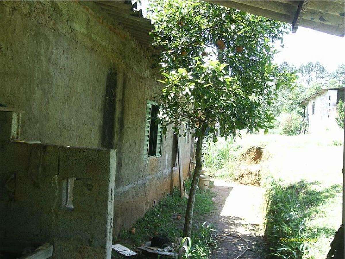Picture of Farm For Sale in Itapecerica Da Serra, Sao Paulo, Brazil