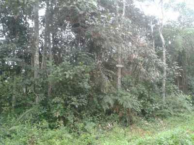 Residential Land For Sale in Juquitiba, Brazil