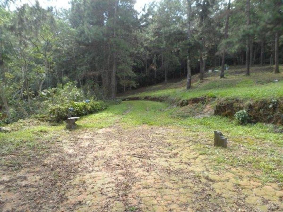 Picture of Farm For Sale in Itapecerica Da Serra, Sao Paulo, Brazil