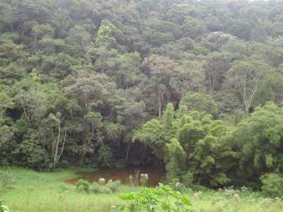 Farm For Sale in Itapecerica Da Serra, Brazil