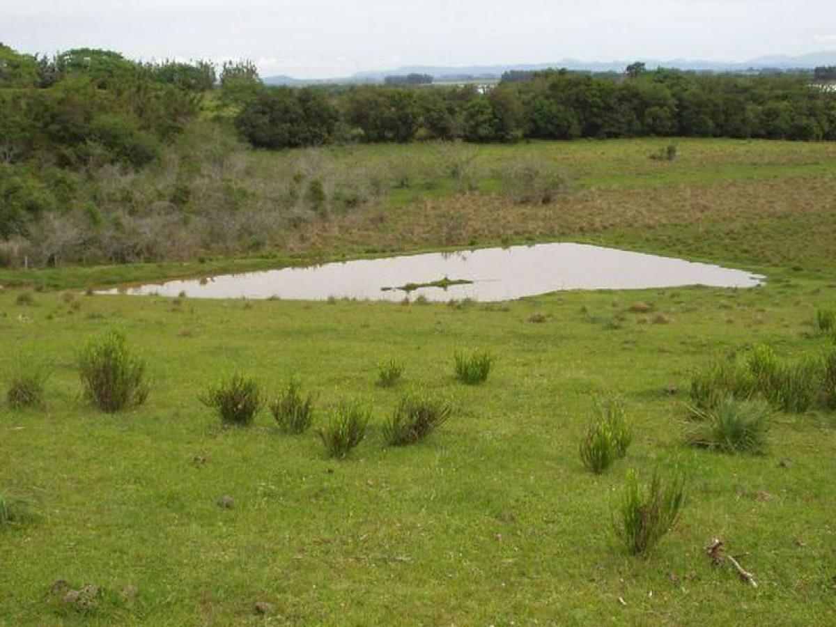 Picture of Farm For Sale in Rio Grande Do Sul, Rio Grande do Sul, Brazil