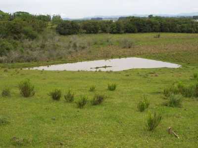 Farm For Sale in Rio Grande Do Sul, Brazil