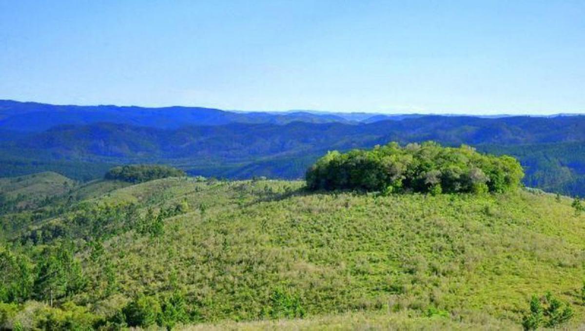 Picture of Farm For Sale in Rio Grande Do Sul, Rio Grande do Sul, Brazil