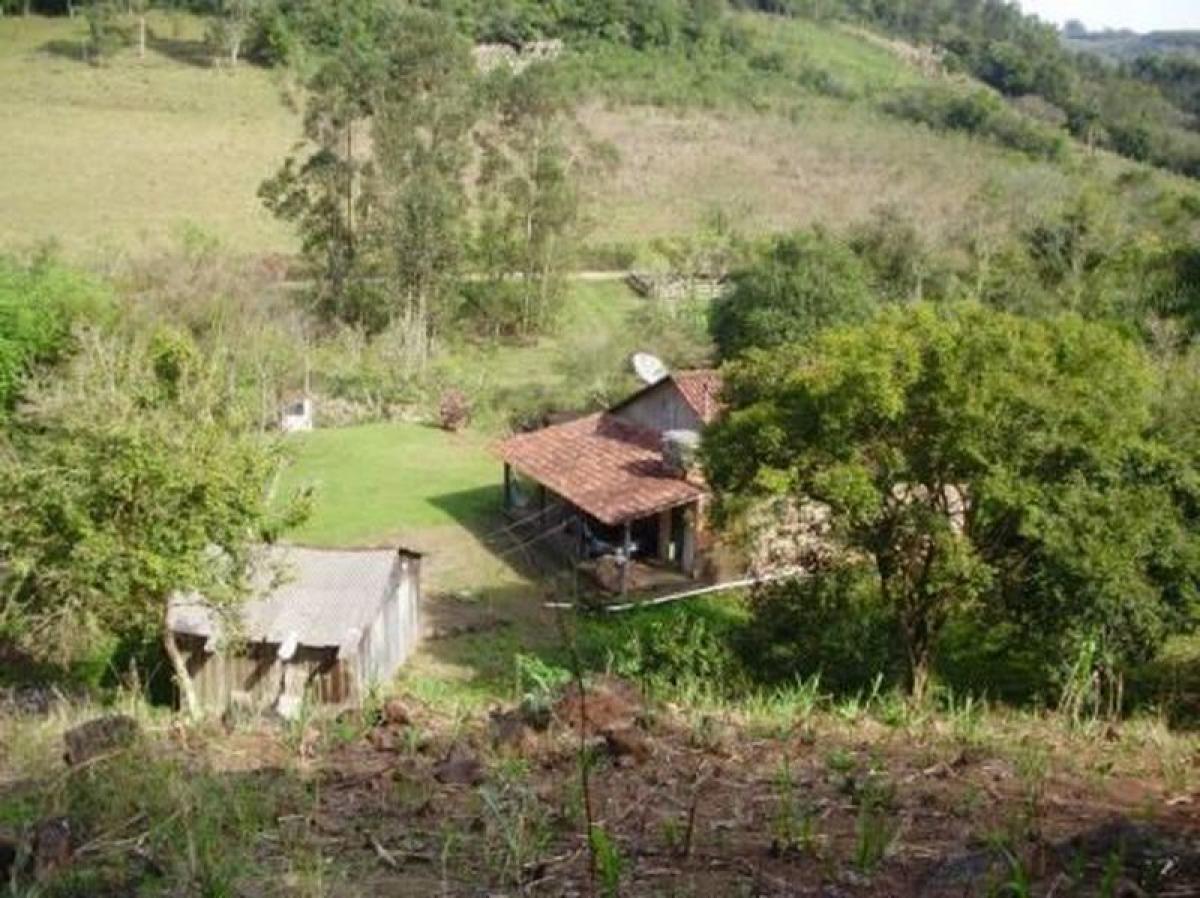Picture of Farm For Sale in Rio Grande Do Sul, Rio Grande do Sul, Brazil