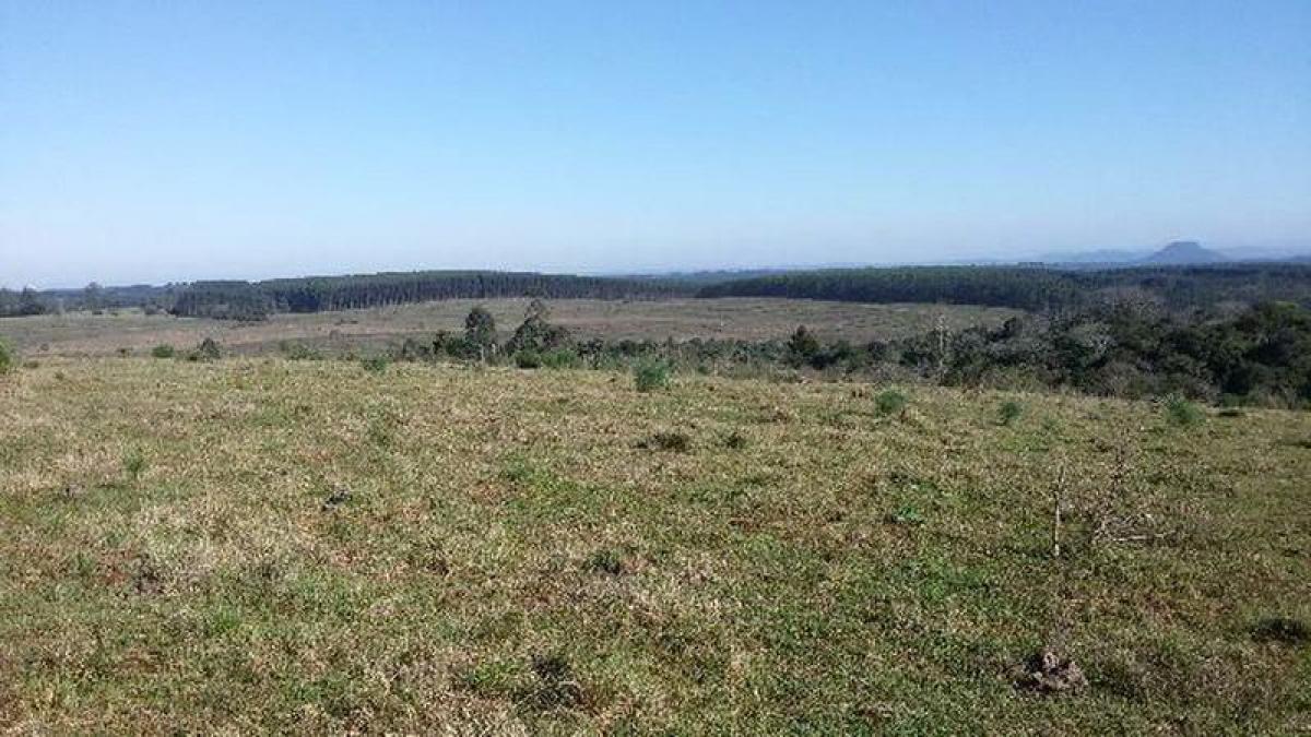 Picture of Farm For Sale in Montenegro, Rio Grande do Sul, Brazil