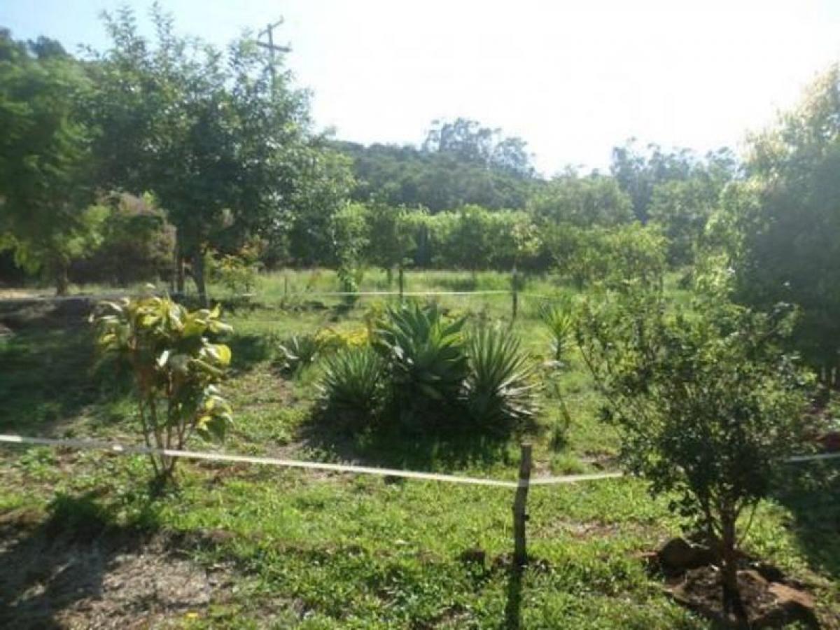 Picture of Farm For Sale in Rio Grande Do Sul, Rio Grande do Sul, Brazil
