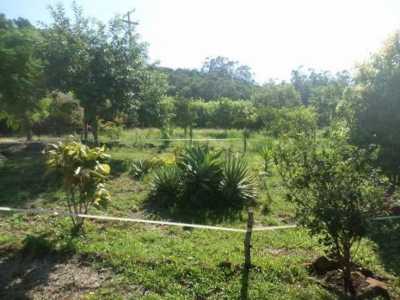Farm For Sale in Rio Grande Do Sul, Brazil