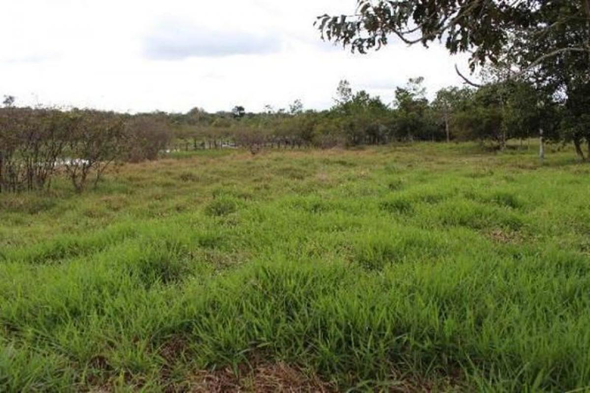 Picture of Farm For Sale in Bahia, Bahia, Brazil