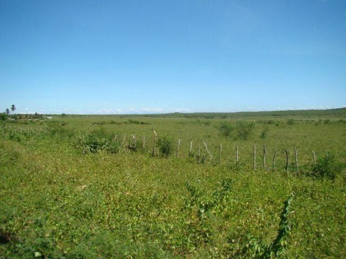 Picture of Farm For Sale in Ceara, Ceara, Brazil