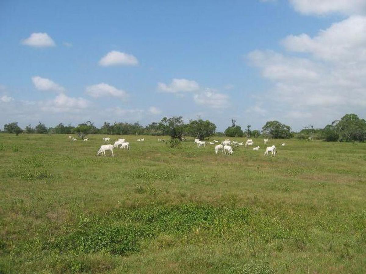 Picture of Farm For Sale in Maranhao, Maranhao, Brazil