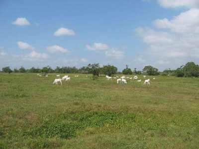 Farm For Sale in Maranhao, Brazil