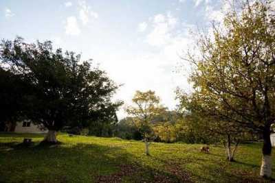 Farm For Sale in Caxias Do Sul, Brazil