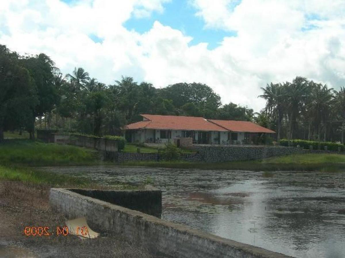 Picture of Farm For Sale in Ceara, Ceara, Brazil