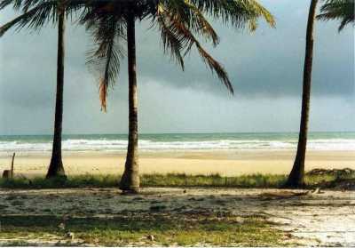 Farm For Sale in Simões Filho, Brazil