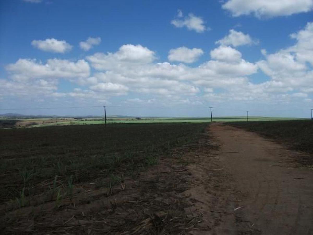 Picture of Farm For Sale in Alagoas, Alagoas, Brazil