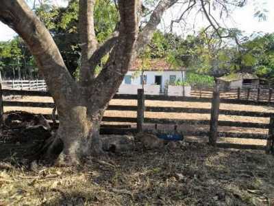 Farm For Sale in Goiânia, Brazil