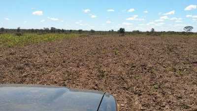 Farm For Sale in Mato Grosso, Brazil