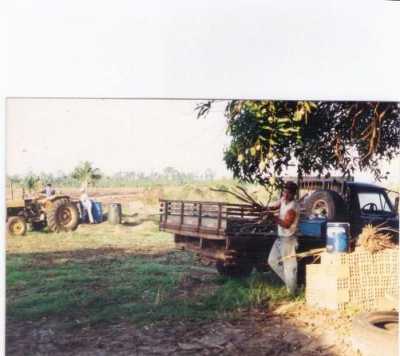 Farm For Sale in Tocantins, Brazil