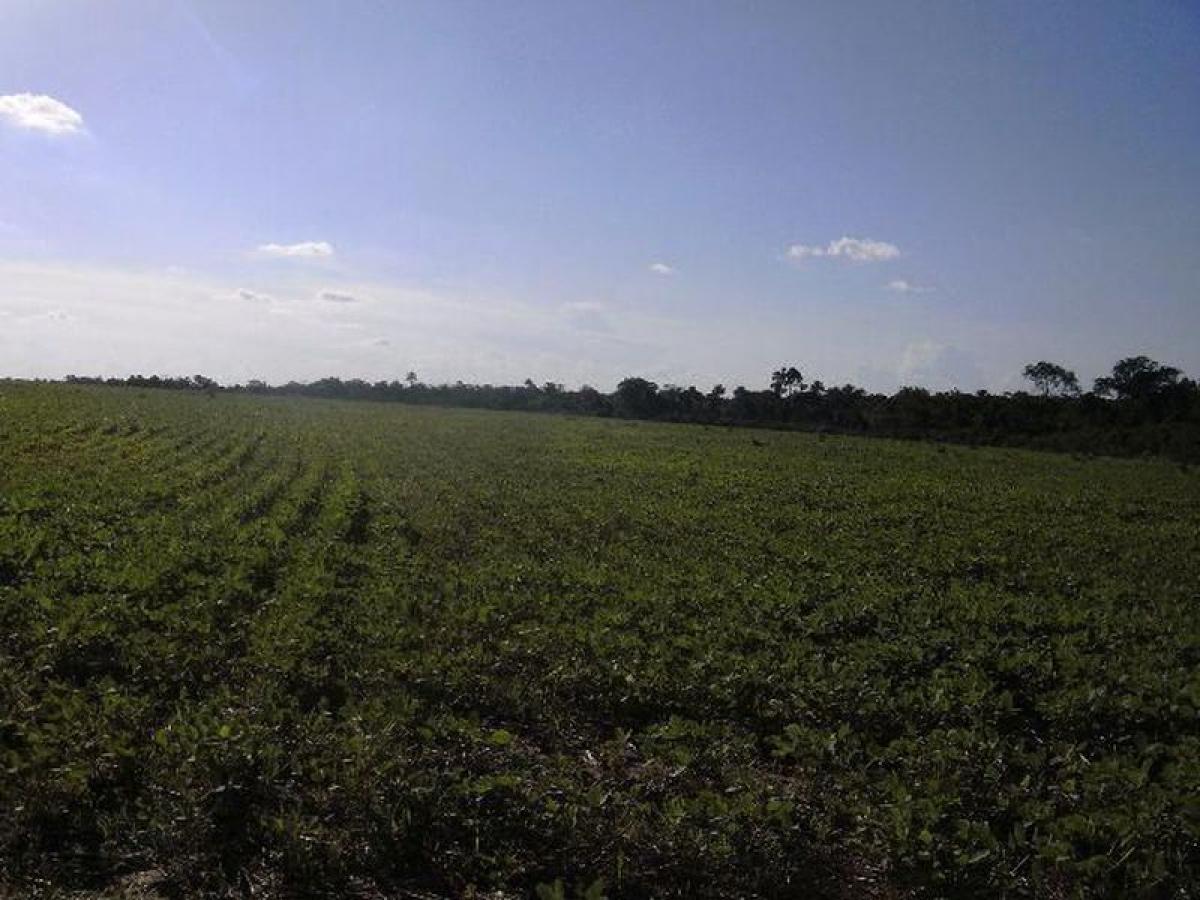 Picture of Farm For Sale in Maranhao, Maranhao, Brazil