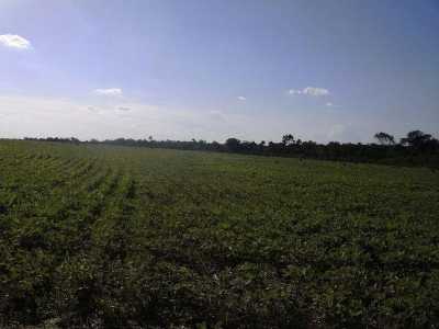 Farm For Sale in Maranhao, Brazil