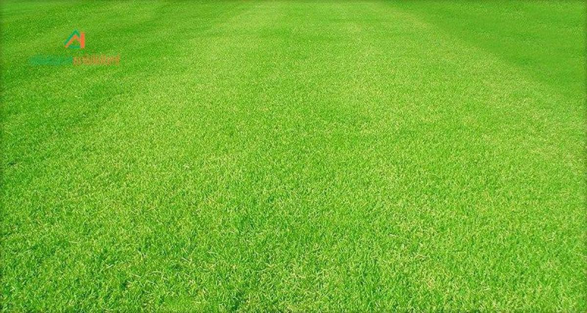 Picture of Residential Land For Sale in Araçoiaba Da Serra, Sao Paulo, Brazil